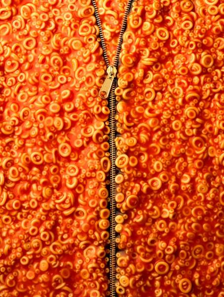 Photograph Steve Nozicka Food Zipper on One Eyeland